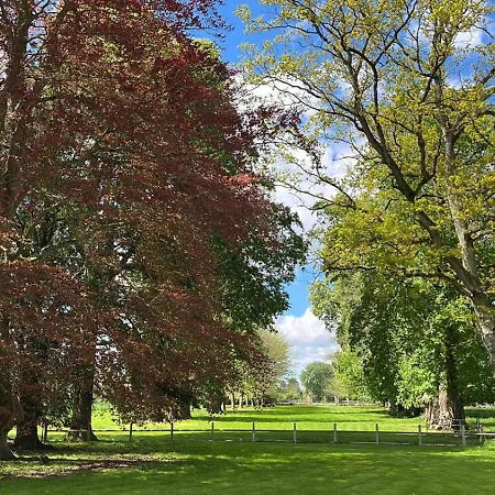 招待所 Chateau De Saint Aubin Thiberville