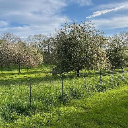 招待所 Chateau De Saint Aubin