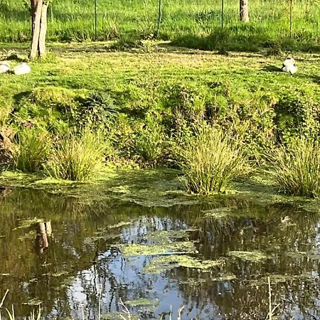 Chateau De Saint Aubin 招待所